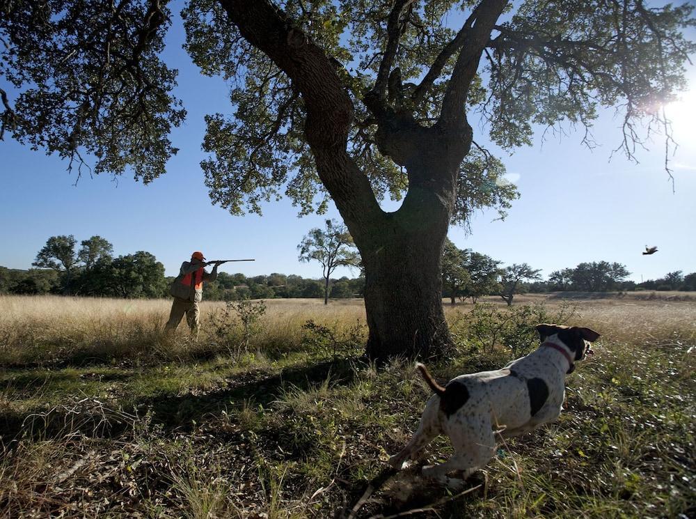 מלון ברני Joshua Creek Ranch מראה חיצוני תמונה